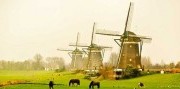 5-dňový silvestrovský zájazd do Amsterdamu